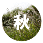 秋の花