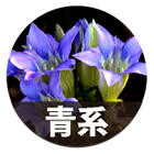 青系