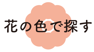 花の色でさがす