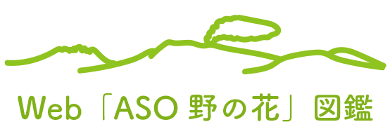 AFAロゴ