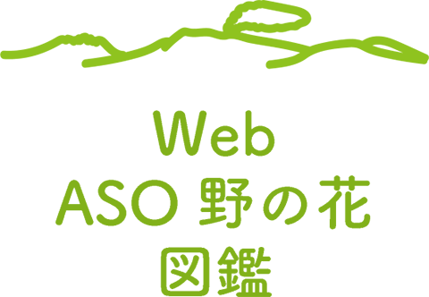 Web[ASO 野の花」図鑑ロゴ
