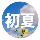 初夏の花