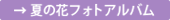 夏の花フォトアルバムへ