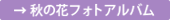 秋の花フォトアルバムへ